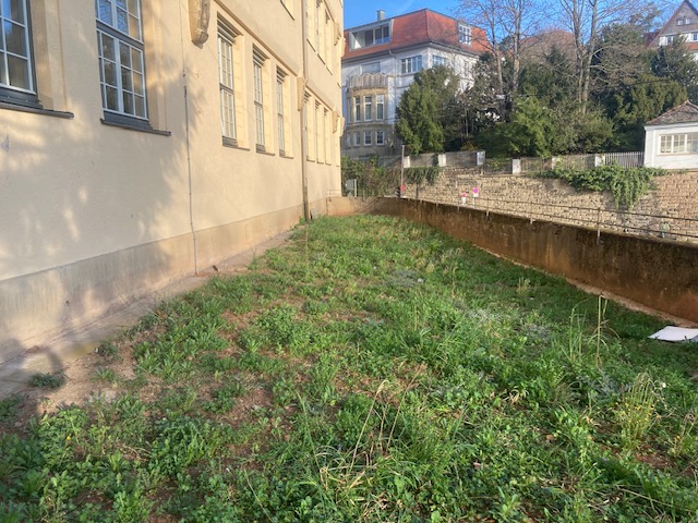 Grüne Wiese vor Schulgebäude