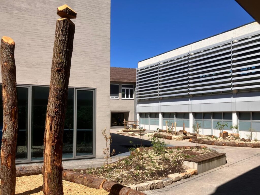 Ein naturnah gestalteter Schulhof mit Pflanzen, Baumstämmen und einer Holzbank