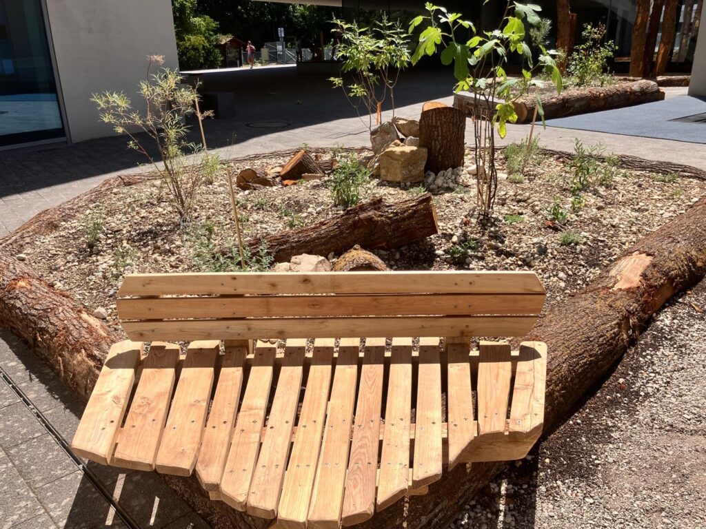 Sitzbank aus Holz steht vor bepflanzter Fläche.